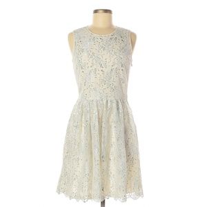 Erin by Erin Fetherston Ivory Silver Shimmer Dress